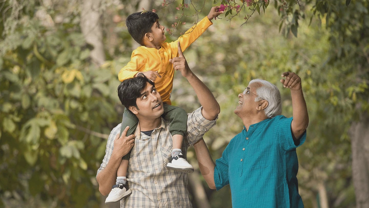 Shanta Multi-Stage Maturity Plans